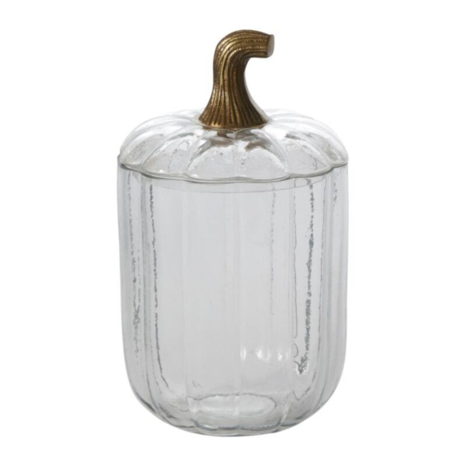 Translucent Pumpkin Terrarium Medium