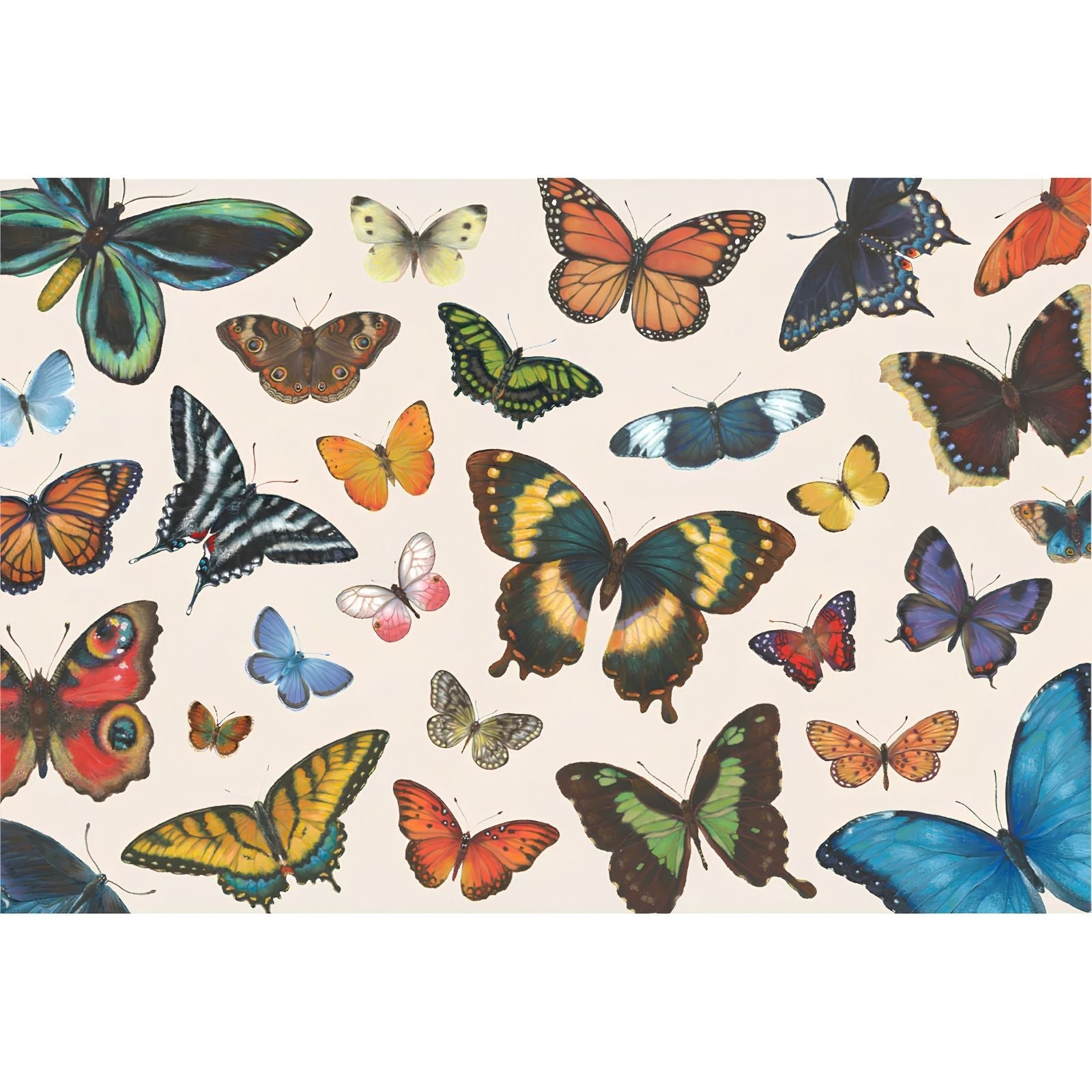 Butterfly Flight Placemat