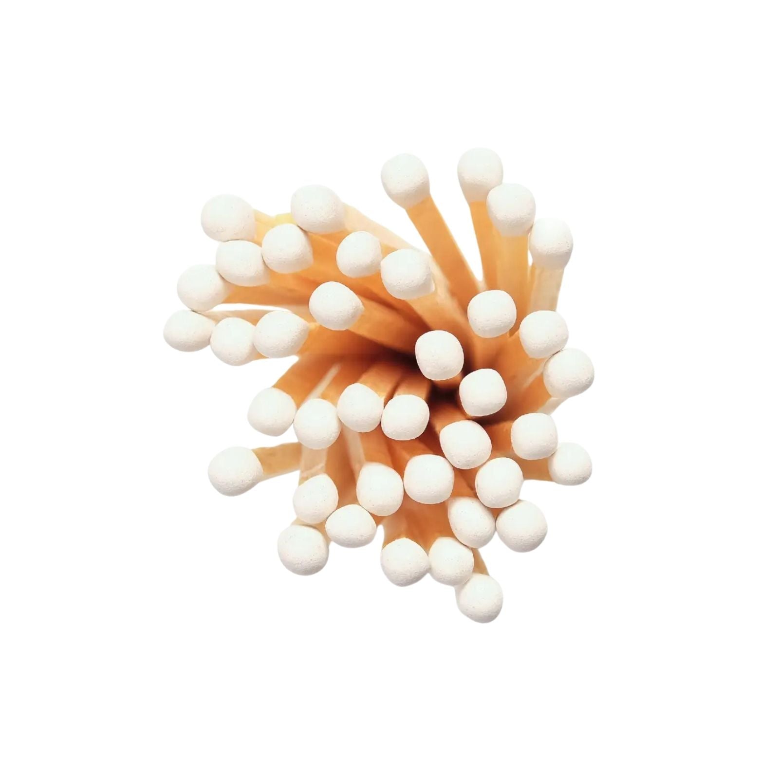 Vintage Apothecary Wood Top Matches White