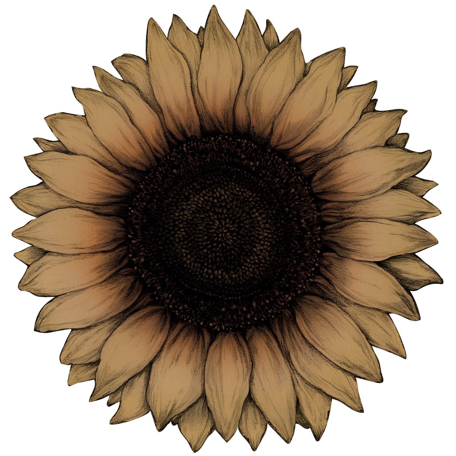 Die Cut Vintage Sunflower