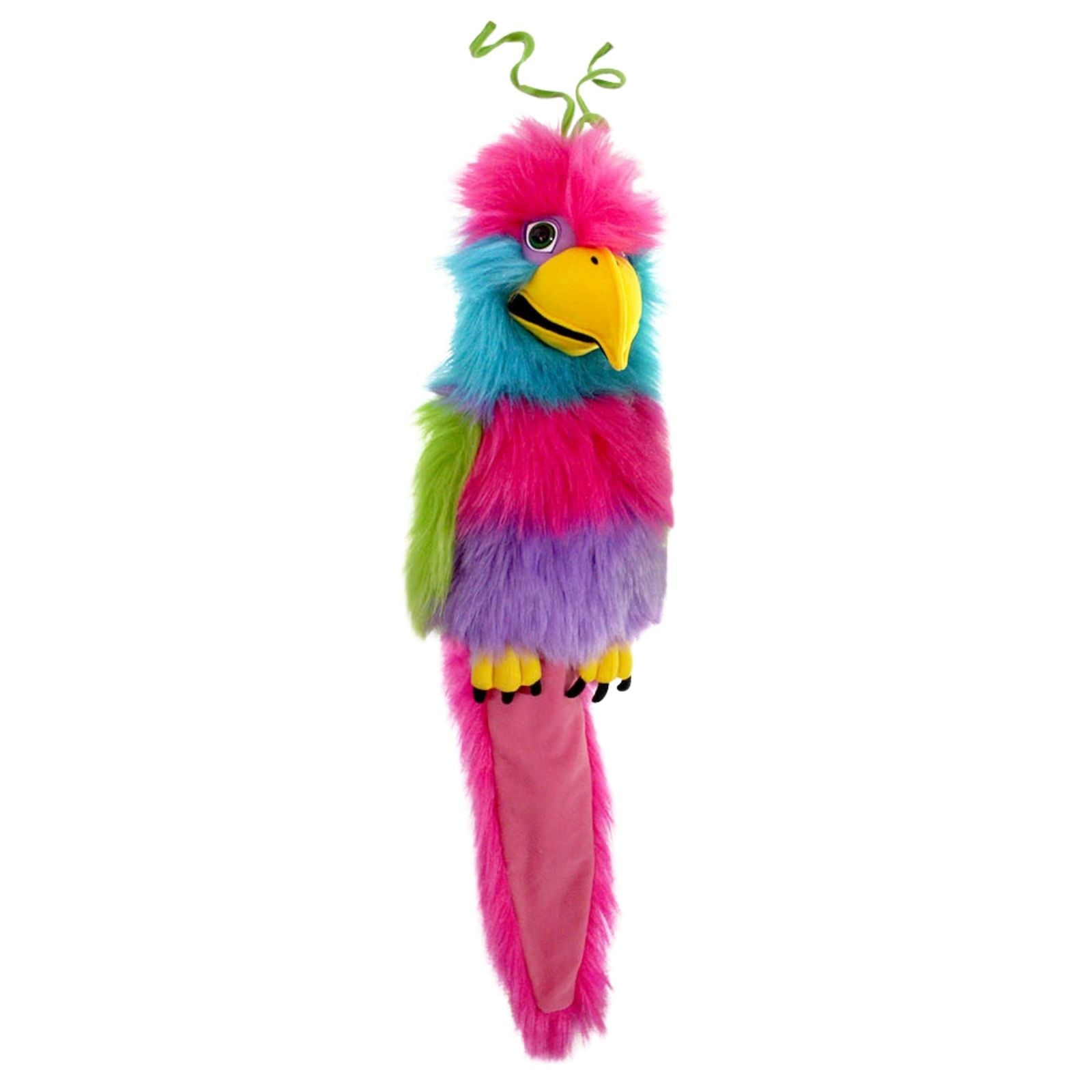 Large Birds Bird of Paradise