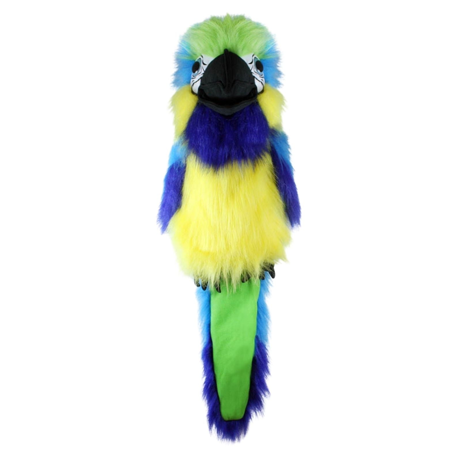 Large Birds Blue & Gold Macaw