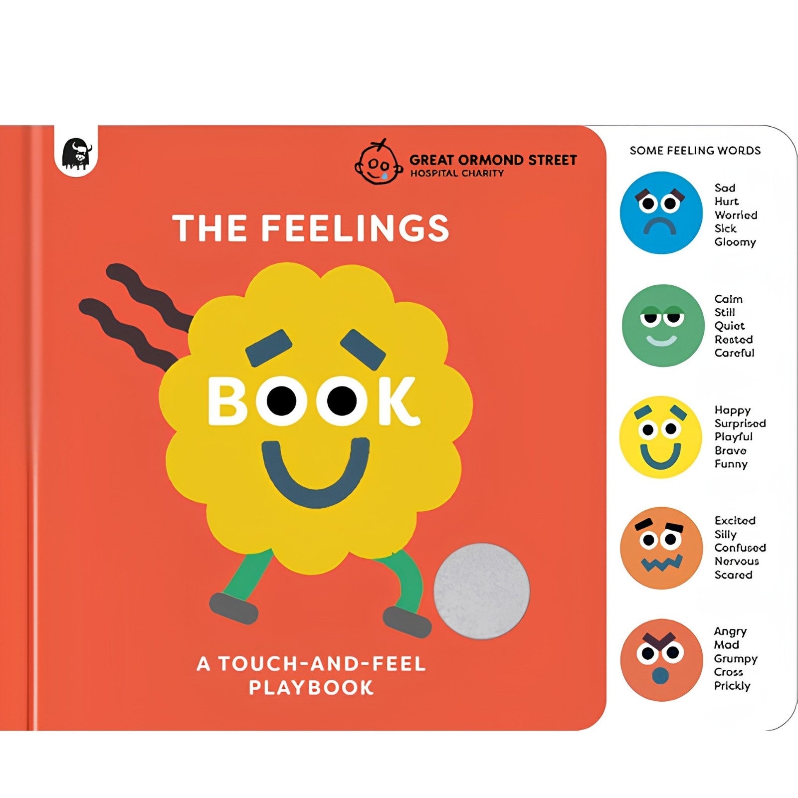 The Feelings Book: Touch-and-Feel Emotions