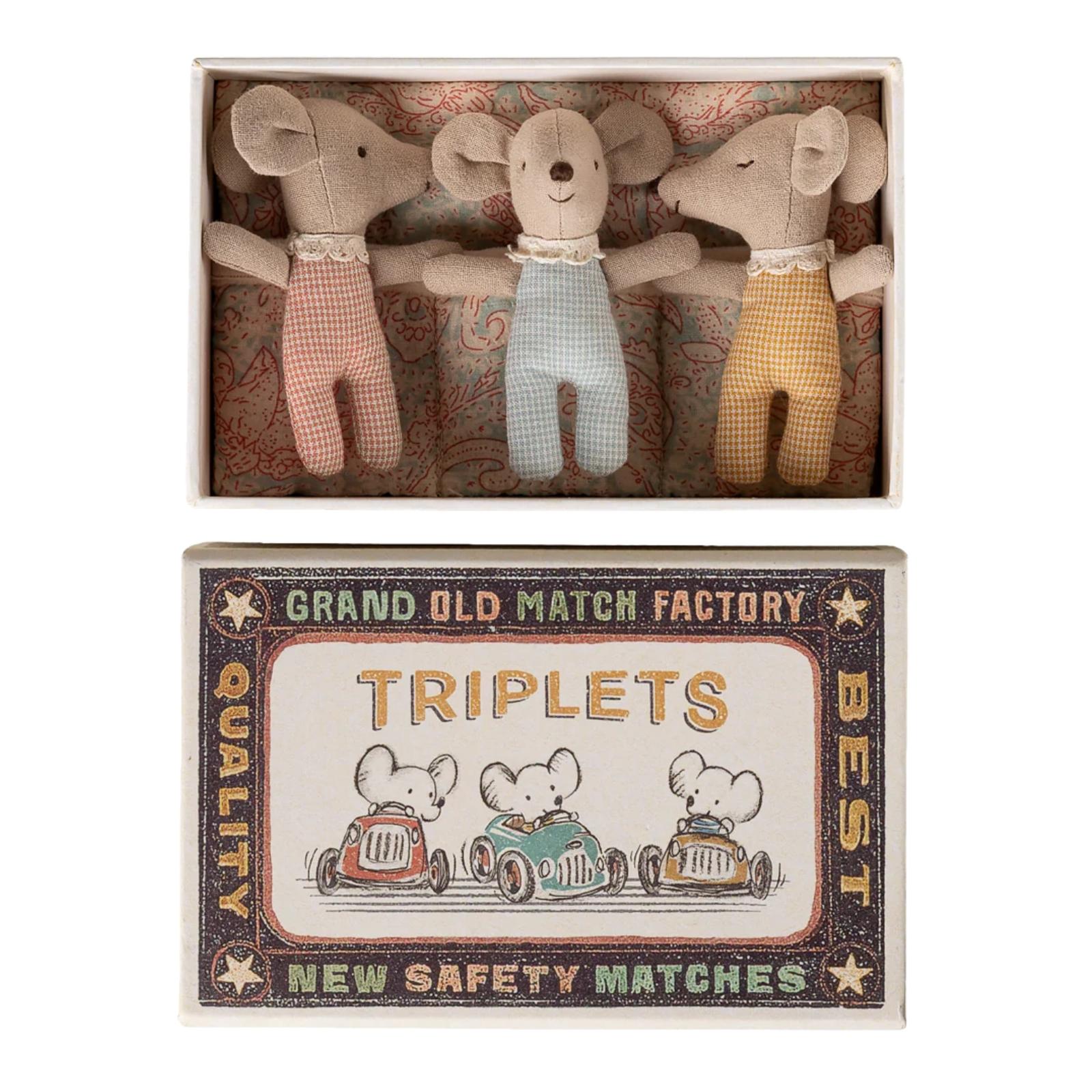 Triplets, Baby mice in matchbox -  Checker