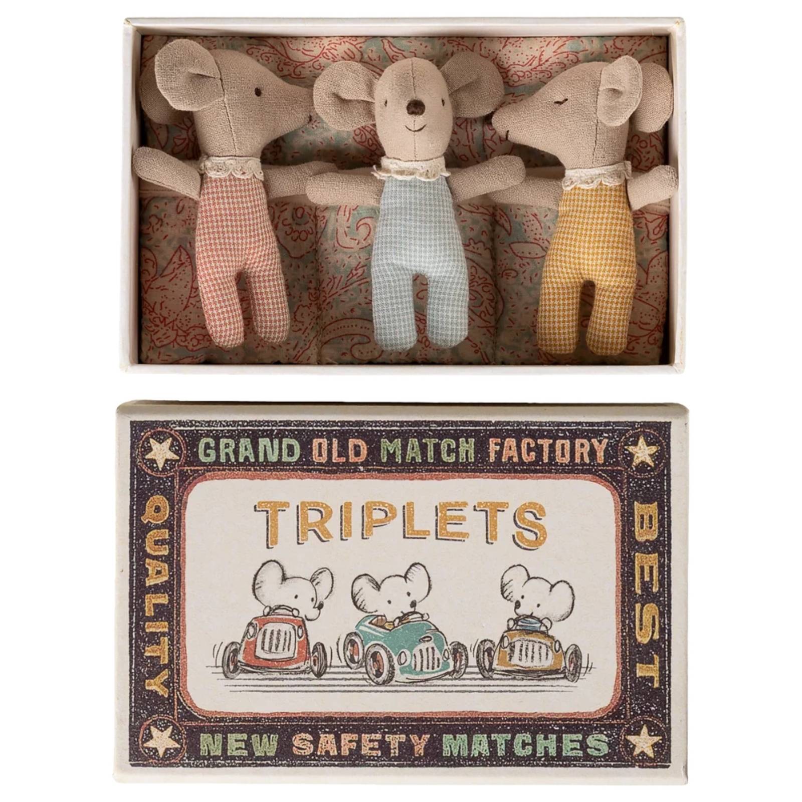 Triplets Baby mice in matchbox
