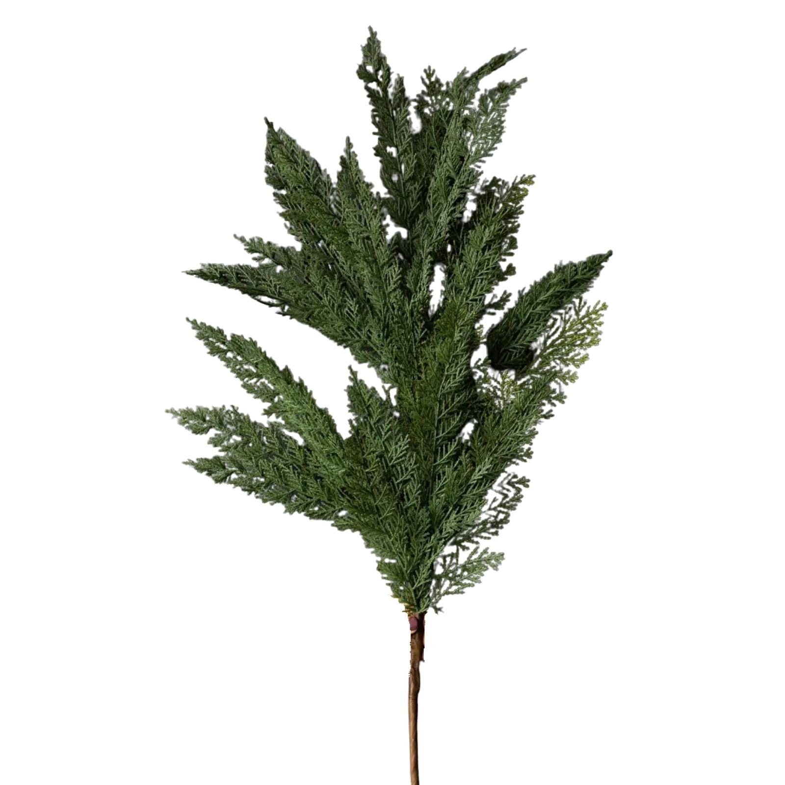 Cypress Leaf Stems Large Stem - 42"