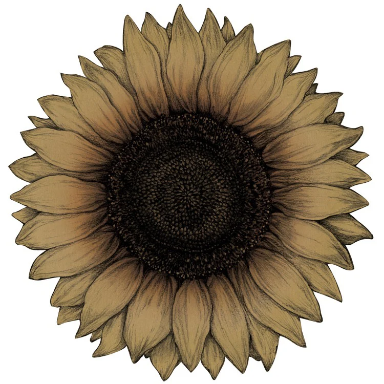 Die Cut Vintage Sunflower