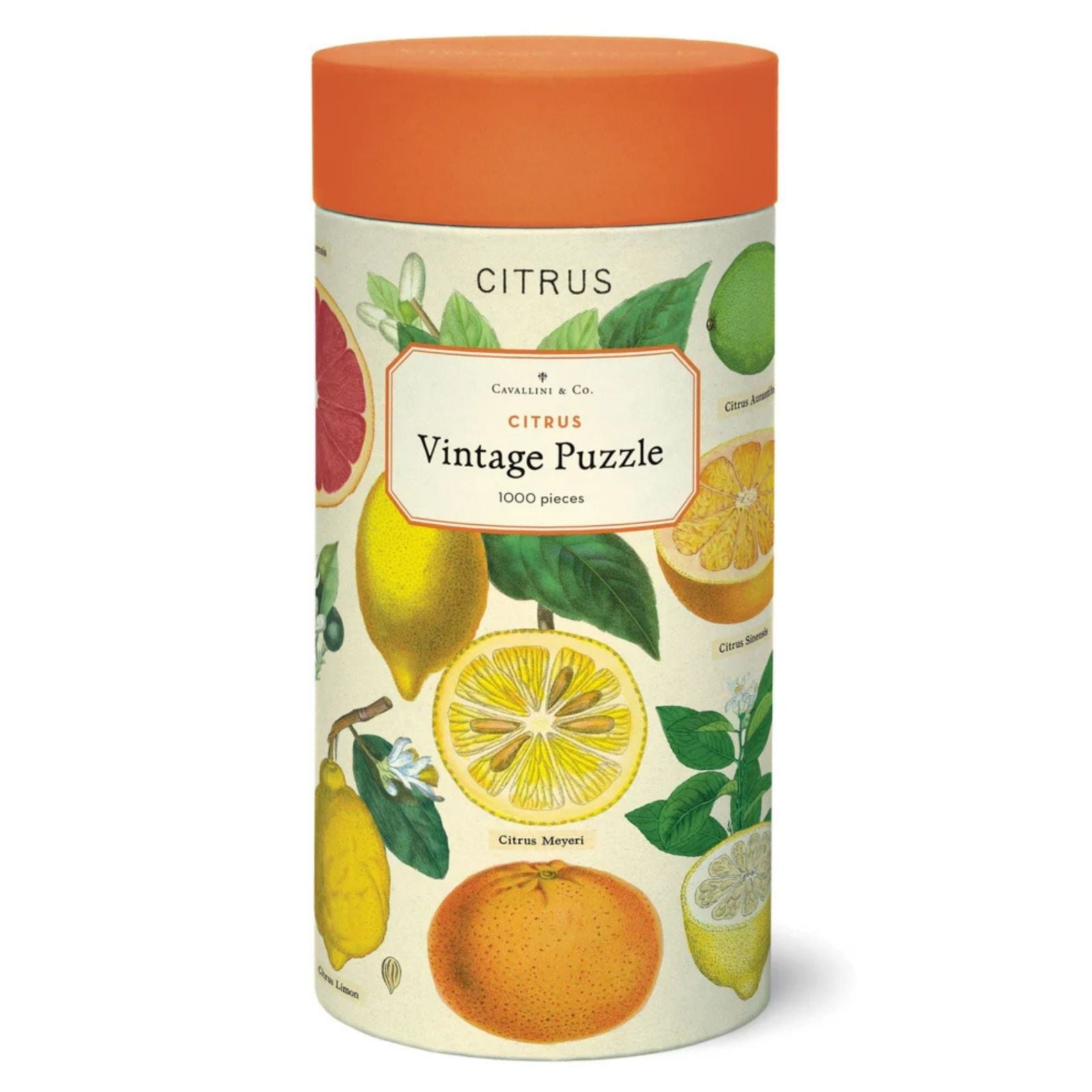 Citrus 1,000 Pc Puzzle
