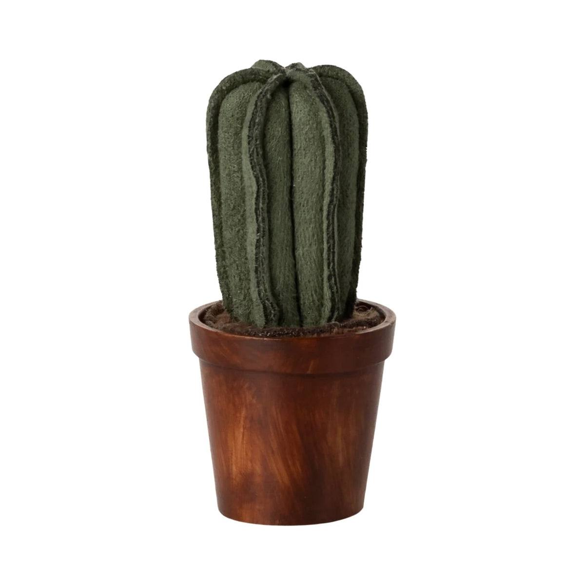 Flower pot with cactus