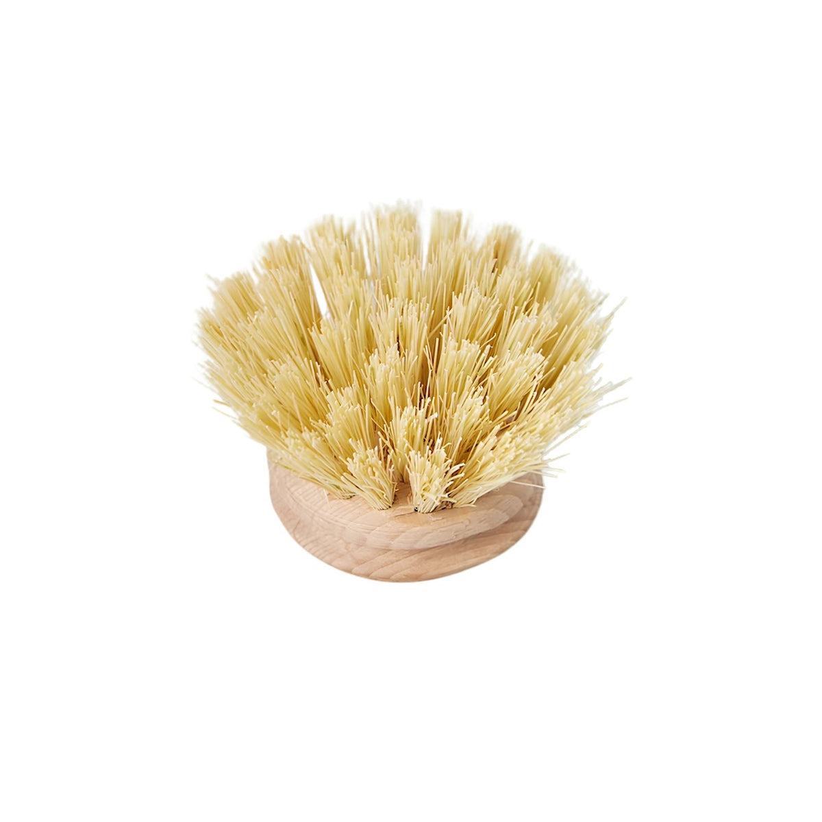 Dish Brush Replacement Head