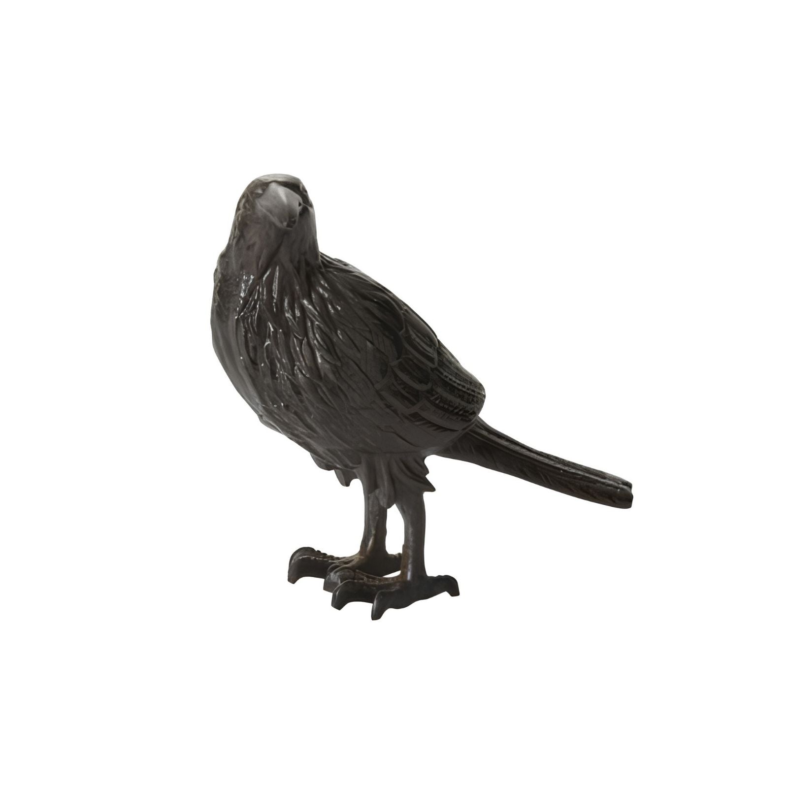 Nevermore Raven Tall